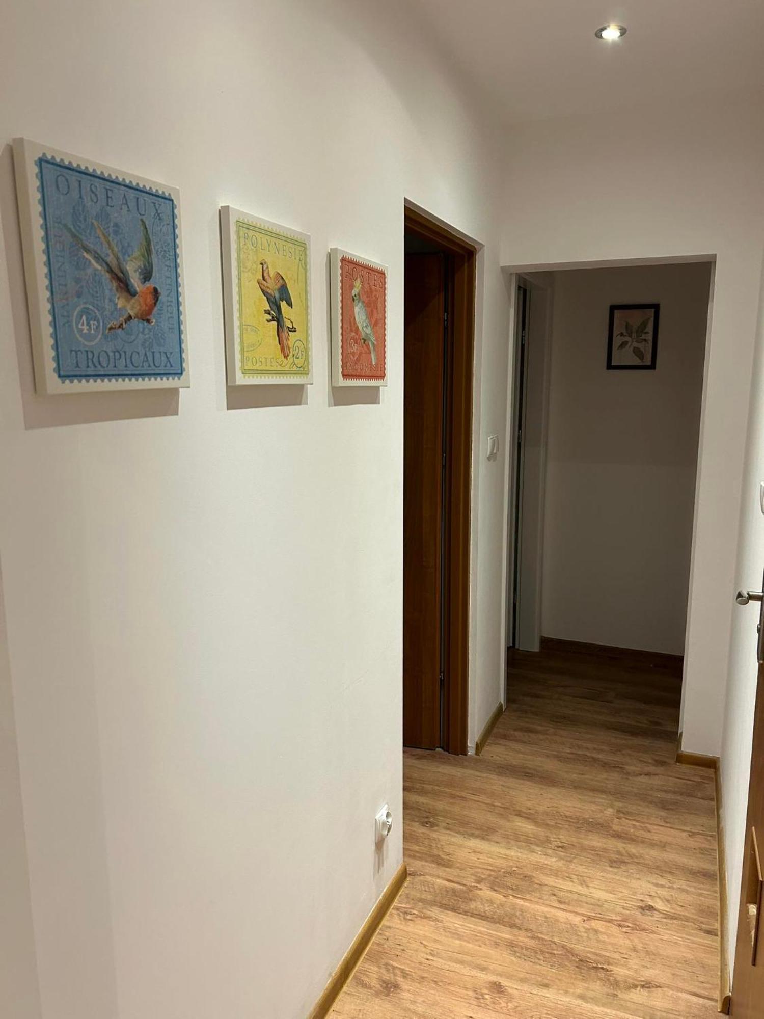 Rumiankowa Homestay